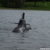 Koeln2014_1 (64)